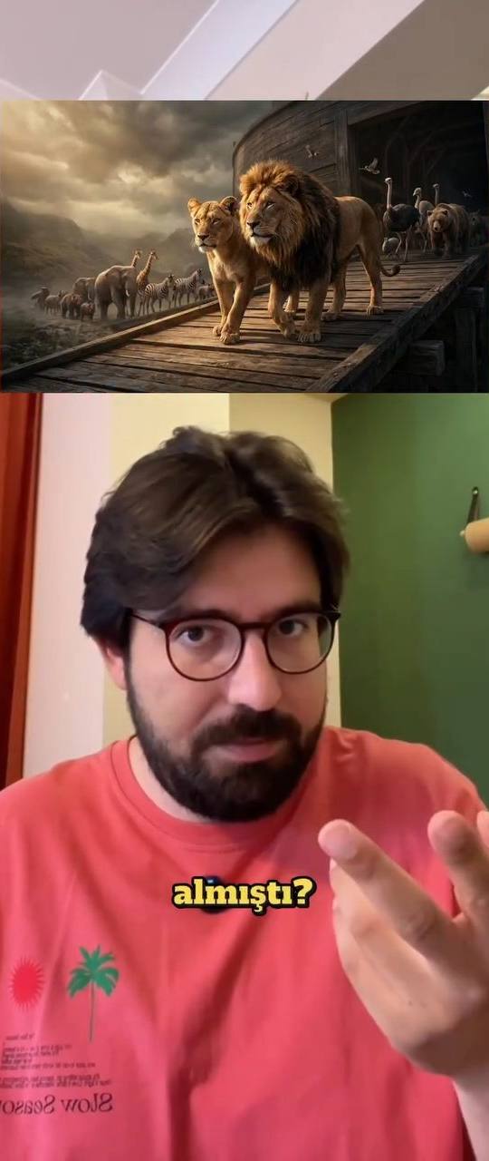 Musa yanılsaması deneyi üzerinden beynin kalıpla okuduğunu anlatan video.